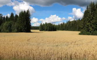 Hands-On Agronomy - der etwas andere Blick auf Bodenfruchtbarkeit und Düngung unterstützt ertragreichen Haferanbau