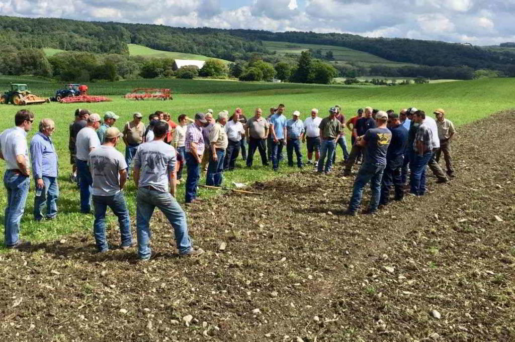 Durch eine Fräse wurde der mit Steinen durchsetzte Boden für die Direktsaat vorbereitet Auf einem Bio-Betrieb wurde mittels Fräse die Zwischenfrucht terminiert und der steinige Boden für die Direktsaat vorbereitet