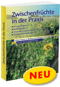 Zwischenfrüchte in der Praxis