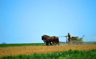 Weiterbildungsreise: Kinsey Schulung für Landwirte & Berater